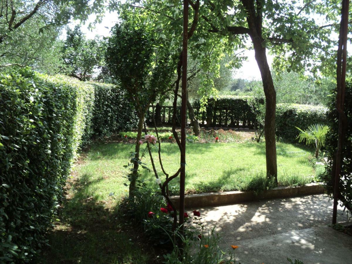 Apartment Martina Biograd Na Moru Buitenkant foto