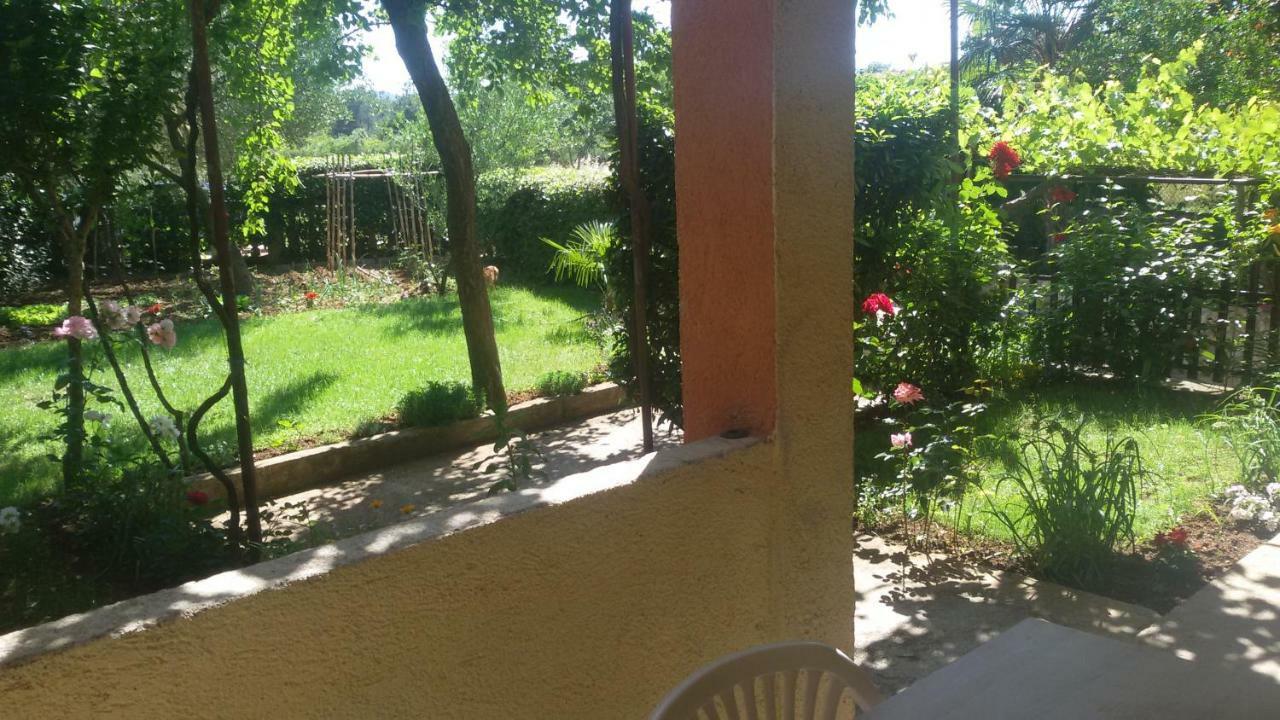 Apartment Martina Biograd Na Moru Buitenkant foto